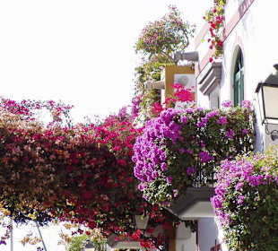 Gran Canaria - Spanien