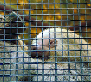 La Paz Waterfall Gardens