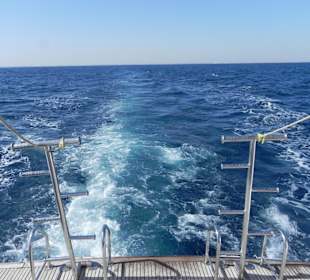 Gischt schäumt um den Bug wie Flocken von Schnee