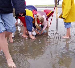 Kinder im Watt