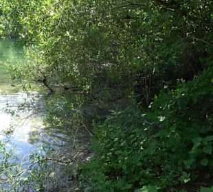 Wiesaztal Gönningen