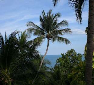 Aussicht