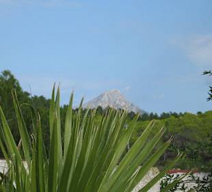 ein Blick der sich lohnt