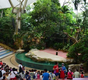 Singapur Zoo