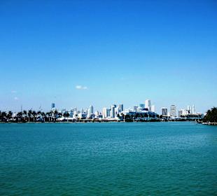 Im Hintergrund die Skyline