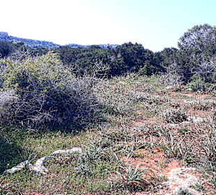 Nationalpark Kap Greco