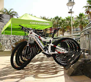 Top Mountainbikes aller Kategorien