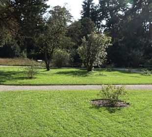 Botanischer Garten München