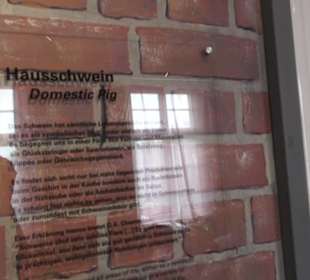 SchweineMuseum