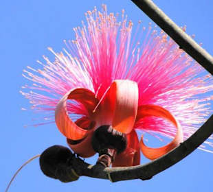 Ist das nicht herrlich?