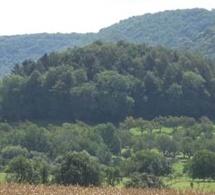 Hochgehnießen - Premiumspazierwanderweg