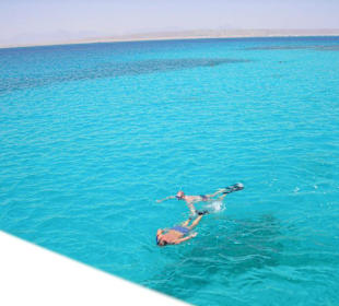 Schnorchelgruppe am Riff