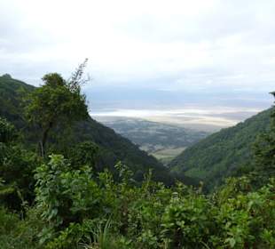 Hoch oben am Rand des Ngorongorokraters