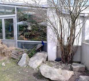 Tierpark Hellabrunn in München