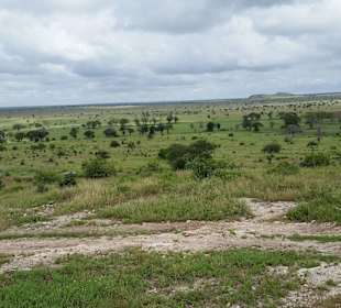 Sarova Salt Lick Game Lodge