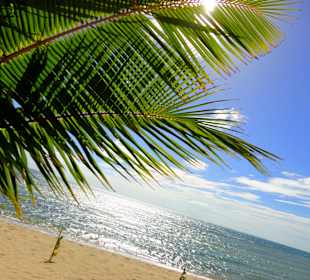 Am Strand in Koh Phangan