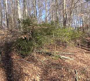 Naturerlebnispfad Meidelstetten