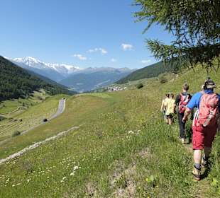 Wandern Sesvennahütte Mals/Malles Venosta