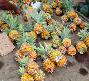 Rundgang über den Marché forain du Front de Mer