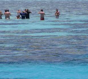 Stehen im roten Meer