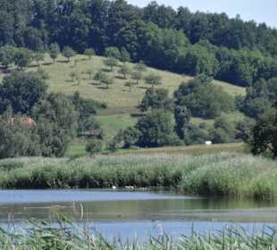 Wandern Salem