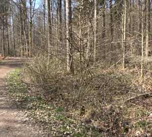 Historischer Rundwanderweg Aichtal