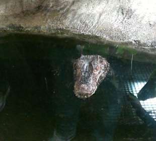 Zoo Brno