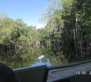 Black River 