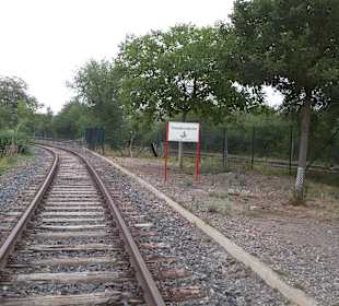 Draisinen Tour Altenglan