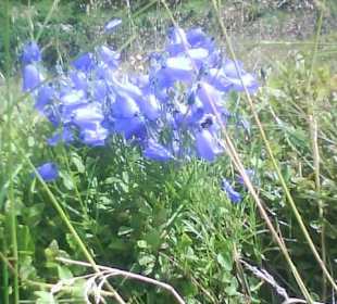 Tatrzański Park Narodowy