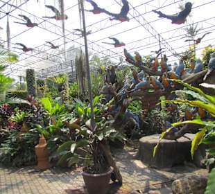 Noong Nooch Village Garden und Resort