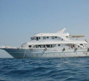 Delfin-Schnorchel-Tour mit Mohamed