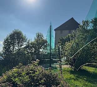 Gläserner Wald