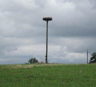 Schlachtfeld von Wörth 1870, Brutstätte