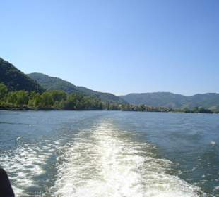 Donaudampfschifffahrt Prinz Eugen