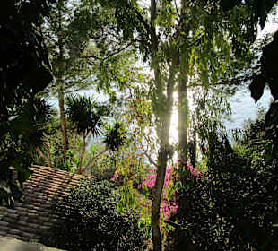  Kloster Paleokastritsa