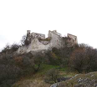 Zřícenina Hradu Falkenstein