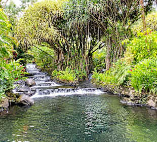 Tabacon Hot Springs