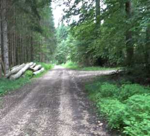 Wanderung Froschteich-Tour