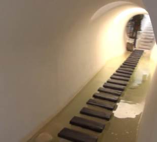 Museo Lagomar