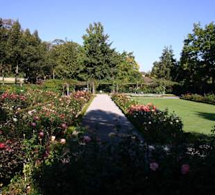 Rosengarten in Bern