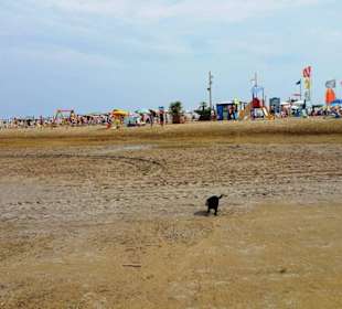 Zum freien Bereich hin