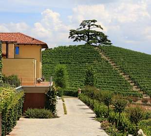 Weingut Cordero di Montezemolo