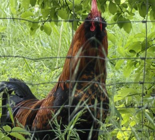 Wandern Bad Bevensen