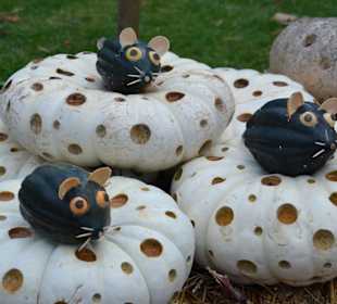 Putzige Kürbismäuse