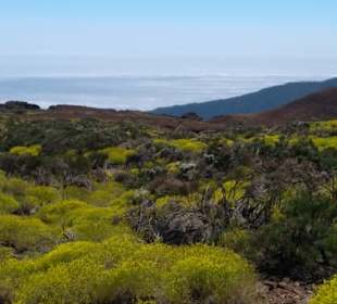 Parque Nacional del Teide