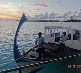 Sunrise Dolphin Trip