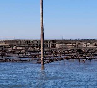 Bootstour Ria Formosa