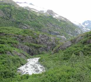 Mit der Train in der Natur Alaskas