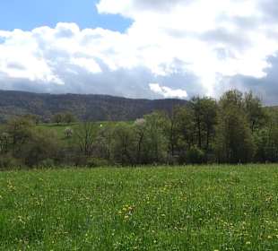 Naturerlebnisweg des NABU-Metzingen